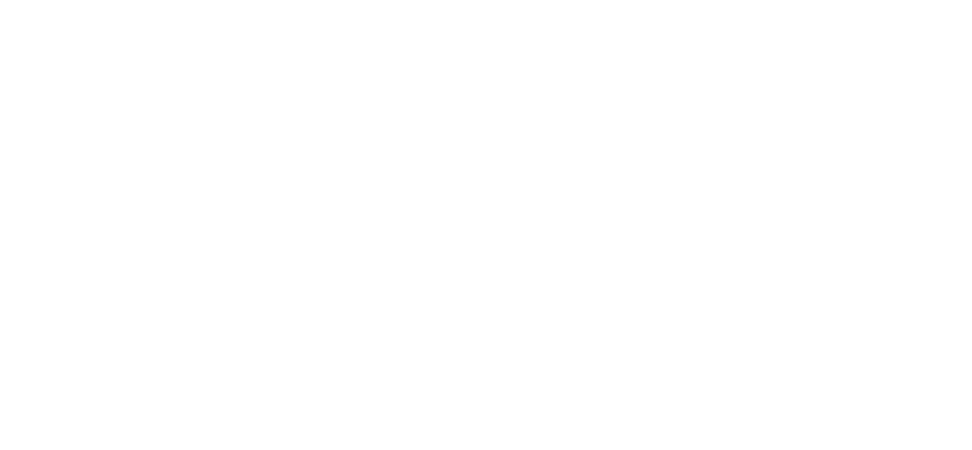 Jaka Security